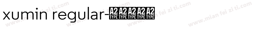 xumin regular字体转换